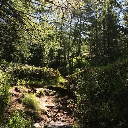 아파트 Stadel 사스그룬트