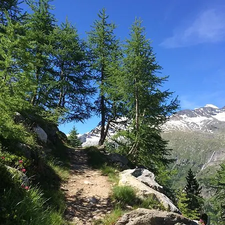 Stadel * Saas-Grund