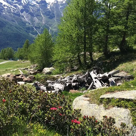 Stadel Saas-Grund