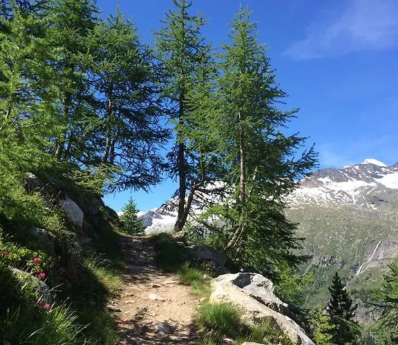 Stadel * Saas-Grund