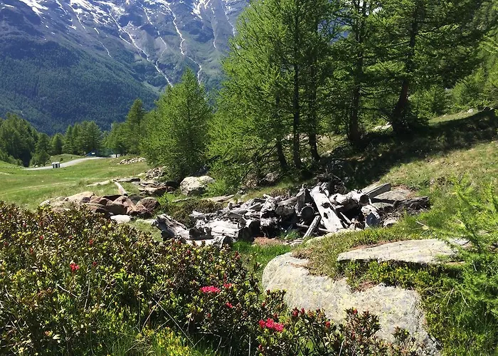 Stadel Saas-Grund