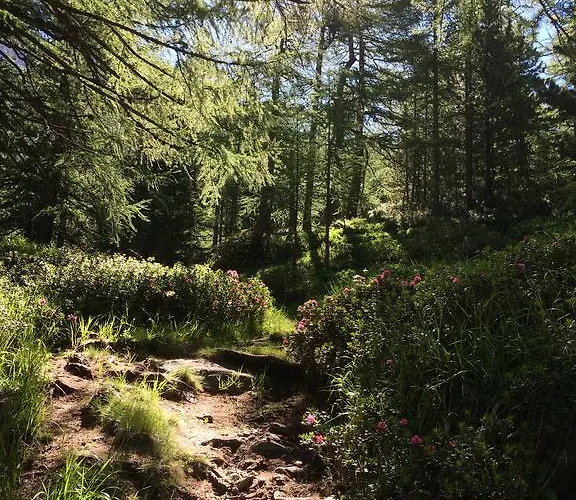 Appartamento Stadel Saas-Grund
